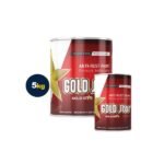 Antirouille Gold Star Paintcam gris 30Kg